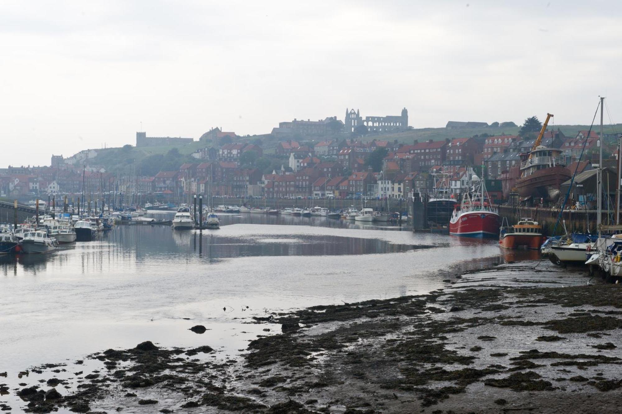 Watermark Apartments Whitby Oda fotoğraf